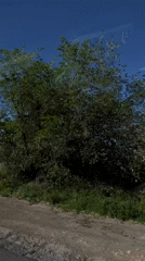 Mount Ararat filmed from vehicle in Armenia morning