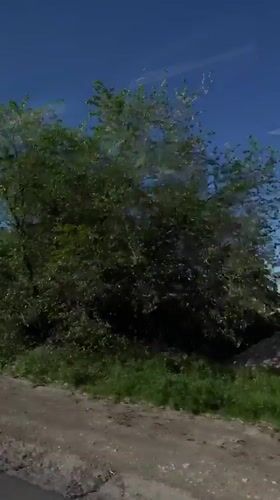 Mount Ararat filmed from vehicle in Armenia morning