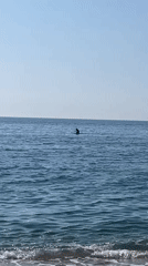 Morning beach scenes captured across Badalona coastline