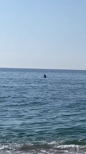 Morning beach scenes captured across Badalona coastline