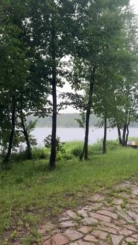 This media file captures a serene outdoor scene beside a body of water, likely a lake, with a wooded area in the background. The foreground is dominated by a cobblestone path, wet as if from recent rain, leading towards the water. Lush green grass grows abundantly on either side of the path and slopes down towards the lake.

Several trees, primarily deciduous with full green foliage, line the edge of the water, interspersed with tall grasses and reeds. On a wooden platform near the water's edge, there are several yellow objects, which appear to be boats or pontoons, suggesting a recreational area. In the distance, across the lake, a hazy treeline is visible, hinting at a vast natural landscape. The sky is overcast with a soft, diffused light, indicating a cloudy or possibly rainy day, contributing to the tranquil and somewhat somber atmosphere.

The activity taking place is a slow pan of the camera across the landscape, starting from the path and moving towards the lake, eventually revealing a person with red hair, wearing a dark jacket, walking away from the camera along the path. Their presence adds a human element to the natural setting, and the slow movement of the camera implies a leisurely exploration or a moment of quiet contemplation. The overall mood is peaceful and natural, with a hint of melancholy due to the overcast weather. There is no visible text in the media file.