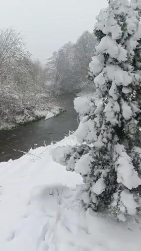 Heavy snowfall blankets Motyakovo, Russia in late April