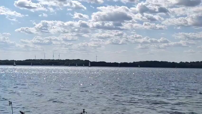 A wide shot of a lake on a sunny day. The water is choppy and reflects the sunlight. In the distance, a line of sailboats are visible on the horizon. Behind the sailboats, a line of trees forms the shoreline, and beyond that, several wind turbines are visible. The sky is blue with scattered white clouds. The bottom of the frame shows the edge of the lake with some green vegetation.