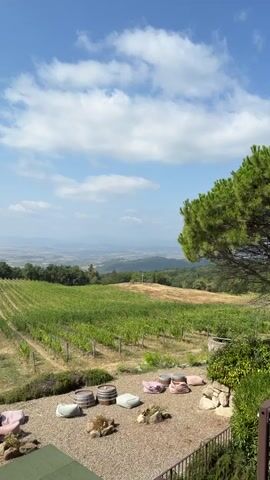 This video shows a scenic view of a vineyard on a hillside under a blue sky with scattered white clouds. In the foreground, there is a gravel patio area with several low cushions or beanbags arranged in a semi-circle, along with a few wine barrels. Beyond the patio is a meticulously maintained vineyard with rows of green grapevines stretching down the slope. In the distance, a hazy landscape of rolling hills and fields is visible. A large evergreen tree stands to the right of the frame. The overall impression is one of a peaceful, rural setting, possibly a winery or vineyard offering outdoor seating.