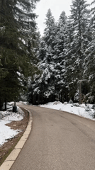 Winter landscape scenes documented in Pitomine, Montenegro