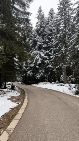 Winter landscape scenes documented in Pitomine, Montenegro