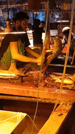 Fish vendors conduct regular business at Dhaka market