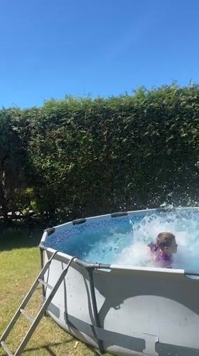 Morning backyard activities documented in Fredenbeck household
