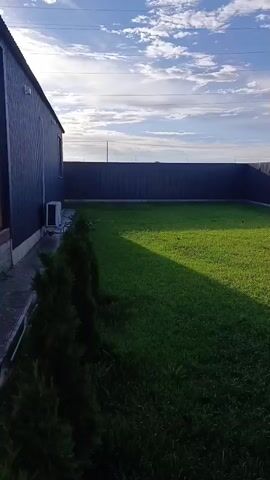 The video pans across a backyard lawn. A dark-colored building is visible on the left, with an outdoor air conditioning unit next to it. Several dark green, conical evergreen shrubs are planted along the edge of the lawn near the building. A dark fence encloses the backyard, with a clear sky and clouds visible above. The sun casts a long shadow across the green grass.