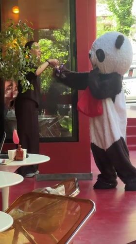 Panda costume performer visits outdoor cafe in Yerevan