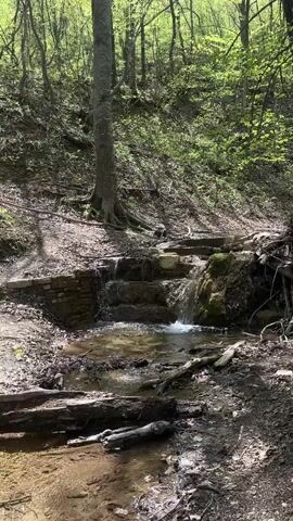 The video shows a small waterfall cascading down a series of stone steps in a wooded area. A narrow stream flows at the base of the waterfall, surrounded by fallen logs and leafy ground cover. Sunlight filters through the trees, creating dappled shadows on the scene.