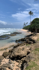 Early morning beach life documented in Midigama, Sri Lanka