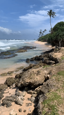 Early morning beach life documented in Midigama, Sri Lanka
