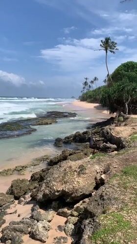 Early morning beach life documented in Midigama, Sri Lanka