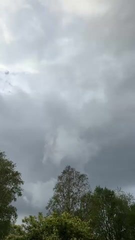 The video shows a static shot of a cloudy sky with the tops of trees visible at the bottom of the frame. The clouds are mostly gray and appear dense, suggesting overcast weather. The trees are green and leafy, indicating it is likely spring or summer. There are no people or significant actions depicted in the video.
