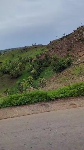 The video shows a hillside landscape viewed from a moving vehicle on a road. The hillside is covered with green grass and vegetation, with patches of brown and exposed soil. Rocks and trees are scattered across the hillside, and some trees line the road. The sky is overcast and gray. The camera pans slightly as the vehicle moves forward, providing a view of different sections of the hillside. There are no people visible in the video.
