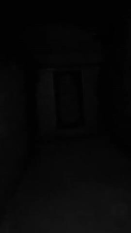 The video shows a dimly lit exterior scene at night. In the foreground to the left is a dark green hedge. To the right, there is a brick wall and a dark doorway or opening with a decorative grate. The camera appears to be moving slowly forward and to the right.
