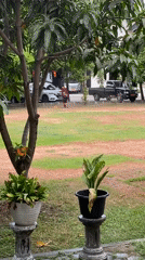 Watering plants and downtime at a garden complex