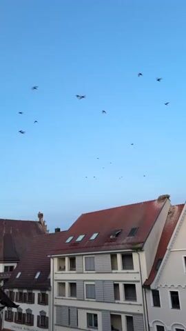 The view from a window shows a blue sky dotted with flying birds over a small European town with orange tiled roofs and white buildings. A stork nest sits on the roof of one of the buildings.