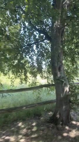 This video captures a view from a moving vehicle, likely a car, looking out at a rural landscape in Rother, United Kingdom. The scene is dominated by lush greenery, with tall trees and a wooden fence line running horizontally across the frame. The fence appears rustic, made of rough-hewn logs, suggesting a countryside or agricultural setting. Sunlight filters through the leaves of the trees, creating dappled light and shadows on the ground. The sky is a clear, bright blue, indicating a sunny day with good weather. The motion blur suggests the vehicle is traveling at a moderate speed. There is no visible text in the video. The overall impression is one of a peaceful and idyllic summer day in the English countryside.
