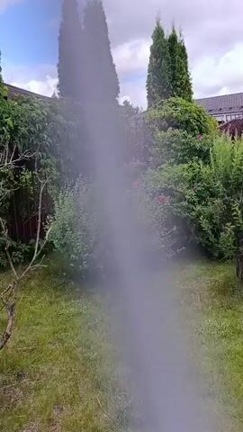 The video shows a green lawn and various trees and bushes, some of which are flowering pink. A paved pathway and a metal gate are visible in the background, as well as the roof of a house. The sky is cloudy. The camera pans across the scene.