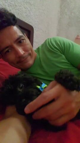 A man in a green shirt is lying on a red bed with a small, black, fluffy dog. The dog is wearing a blue and green collar. The man is smiling at the camera and holding the dog close. The room has a textured, white wall. The bed has a dark brown headboard. The man kisses the dog.