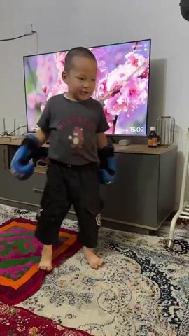 A young boy stands on a patterned rug in front of a television. He is wearing a grey t-shirt and black pants, with blue boxing gloves on his hands. The television displays a blooming tree with pink flowers. The boy is looking towards the camera and appears to be posing or ready to box. The room is lit, and there is furniture visible in the background, including a media console. The boy's feet are bare. He moves his hands in a boxing motion.