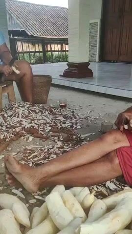 The video shows several people peeling cassava roots. In the foreground, a person's legs are visible, with a large pile of peeled cassava in front of them. To the right, another person is sitting and peeling cassava with a knife. In the background, a third person is also sitting and peeling cassava, with a basket to their left. There are piles of cassava peels and unpeeled cassava roots scattered around the ground. The scene appears to be outdoors, possibly in a village or rural area, with a building and trees visible in the background. The overall impression is one of agricultural labor and food preparation.