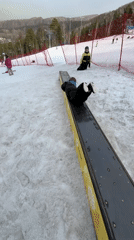 Snowboarders perform tricks and jumps at ski resort