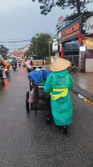 Street vendor pushes cart through rain in Đà Lạt