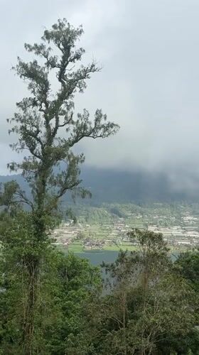 Motorcyclist carries poodle in backpack on Indonesian hillside