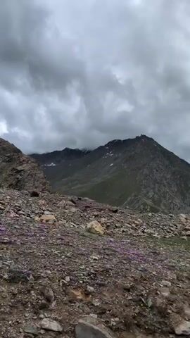 The video pans across a rocky, mountainous landscape. The terrain is covered in loose stones and gravel, with patches of sparse green vegetation. In the distance, large, imposing mountains rise, their peaks partially obscured by dark, dramatic clouds. Some of the mountain slopes show signs of green grass, while others are predominantly rocky. A few small clusters of purple flowers are visible on the ground in the foreground and mid-ground. The sky is overcast with heavy, gray clouds, suggesting a potentially cool or rainy day.