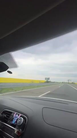 The video offers a first-person view from inside a car driving on a multi-lane highway in Vratitsa, Bulgaria, during an overcast daytime. The vehicle is moving at a steady pace, and the camera is initially pointed straight ahead through the windshield.

The landscape outside is dominated by expansive, vibrant yellow fields, characteristic of rapeseed or canola, stretching into the distance on both sides of the asphalt road. The sky is largely covered by light grey clouds. White lane markings are clearly visible on the highway, which is flanked by metal guardrails.

On the left side of the road, a billboard with an advertisement (possibly for a car) can be seen in the middle distance. Further ahead on the right, an empty, dark-framed billboard structure stands tall, with a bare tree situated nearby.

Inside the car, part of the dashboard is visible, including an air vent and an "AIRBAG" label. Small decorative items, specifically two figures resembling Lilo & Stitch characters and a small bottle (possibly an air freshener), are placed on the dashboard near the left side.

Around the 0:01 mark, the camera briefly pans slightly to the right, revealing more of the car's interior A-pillar and the side mirror, which reflects the passing yellow fields and guardrail.

Throughout the video, loud, upbeat music with a distinct beat and female vocals is playing inside the car. An enthusiastic "woo" sound from a person in the car is heard over the music at the beginning of the clip, suggesting an excited or joyful atmosphere during the drive.
