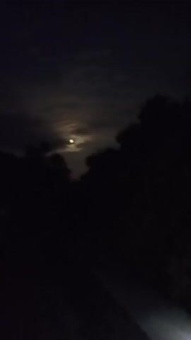 The video shows a nighttime scene with a full moon partially obscured by clouds. The moon is a bright, circular object in the upper center of the frame. Silhouetted trees frame the scene from the left and right, with the foliage appearing dark against the night sky. The overall impression is one of a serene, natural landscape under moonlight.