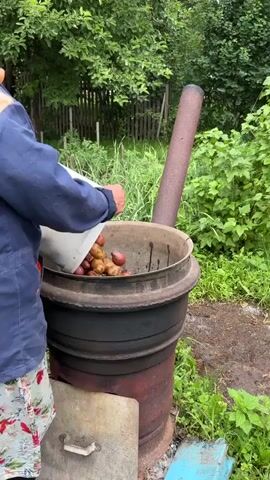 A person wearing a blue jacket and a floral skirt with a red headscarf is standing in front of a large metal oven outdoors. The oven is dark gray and red, with a chimney pipe extending upwards. Inside the oven, there are several potatoes being cooked. The person is reaching into the oven with their left hand, seemingly to adjust the potatoes. The environment is lush green with trees and vegetation visible in the background. The ground appears to be dirt and grass. A metal lid is open in front of the oven.