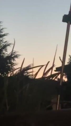 The video shows a close-up of tall grass swaying gently in the breeze against a gradient sky of pale orange and blue. The sun appears to be setting or rising, casting a soft light. In the foreground, a dark, out-of-focus object, possibly a fence or a planter box, is visible. To the right, a tall, thin, metallic object with a black component at the top is partially in frame, possibly a flagpole or a piece of outdoor equipment. The overall impression is a serene, natural outdoor scene at twilight.