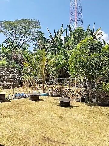 This video shows a rural outdoor setting on a sunny day with a clear blue sky and scattered clouds. In the foreground, a patch of dry, yellow grass covers the ground, with two dark, circular objects, possibly repurposed tires or wooden spools, placed as seating or tables. Behind the grass area, there is a low, rough stone wall or tiered garden bed. Beyond the wall, lush green vegetation dominates the scene, including banana trees and other tropical plants. A tall, slender lattice tower, painted white and red, stands prominently in the background, piercing the sky. The tower appears to be a communication or broadcast tower. The overall impression is one of a simple, natural environment with a man-made structure of significant height.