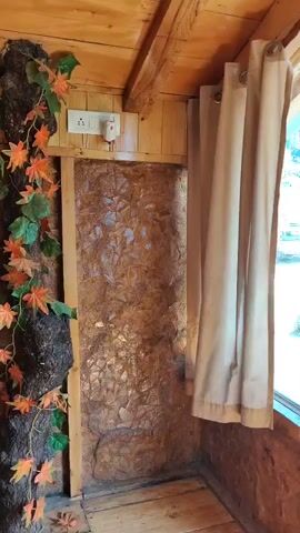 The video shows an interior view of a room with wooden walls and flooring. A thick tree trunk, adorned with artificial green and orange leaves, stands vertically in the corner of the room. A light-colored curtain hangs on the right side of the frame. There are electrical outlets visible on the wall. The floor is made of wooden planks, and a colorful rug is partially visible in the lower left corner. The overall impression is of a rustic or themed interior space.