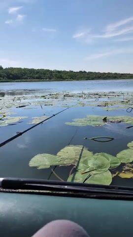 The video shows a first-person view from a boat on a lake. A fishing rod extends out over the water, which is covered with lily pads. The sky is blue with some clouds, and trees line the far bank of the lake. The camera is held low, with the edge of the boat visible in the foreground. The lighting suggests it is daytime.