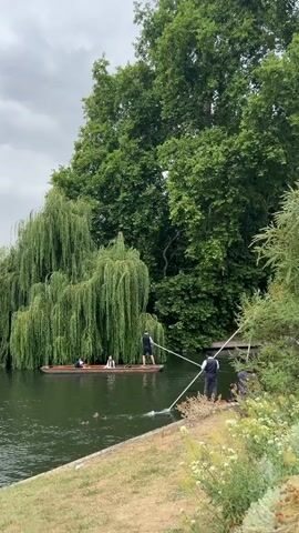 A punt boat with three people is being poled down a river. The boat is surrounded by lush green trees, with a large weeping willow tree dominating the background. The sky is overcast, suggesting a cloudy day.