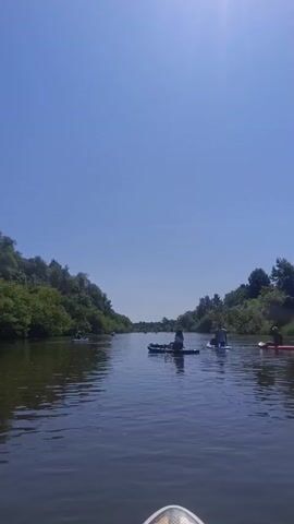 A first-person perspective video shows a person on a paddleboard on a calm river. There are other individuals on paddleboards and kayaks further down the river. The riverbanks are lined with green trees and foliage under a clear blue sky. The video then transitions to a close-up shot of the front of the paddleboard, which has a colorful design, with a large black garbage bag placed on top.