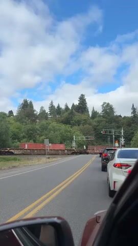 A long freight train with shipping containers is stopped across a road, blocking traffic. The train cars have various graffiti on them. The train tracks are parallel to the road. There are cars stopped in line on the road, waiting for the train to pass. The scene is set in a green, hilly area with many trees and some houses visible on the hill. The sky is partly cloudy with blue sky visible. The sun is out, casting shadows. The video appears to be taken from inside a vehicle, as a side mirror and part of the windshield are visible in the foreground. The train's crossing signals are active, with red lights flashing.