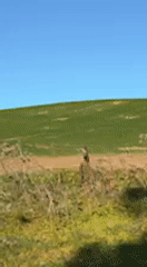 Clear skies over rural Medina-Sidonia countryside captured on video