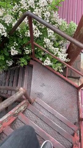 The video shows a person walking down a set of rusty metal stairs outdoors, next to a bush of small white flowers. The stairs have a diamond-patterned metal surface, and the railings are rusty red. The bush is full of tiny white flowers with yellow centers, surrounded by green leaves. The person is wearing dark jeans and striped sneakers. The camera angle is from the person's perspective, looking down as they descend the stairs. Above the bush, a red tiled roof is visible. The focus is on the combination of the industrial metal stairs and the natural beauty of the blooming bush.
