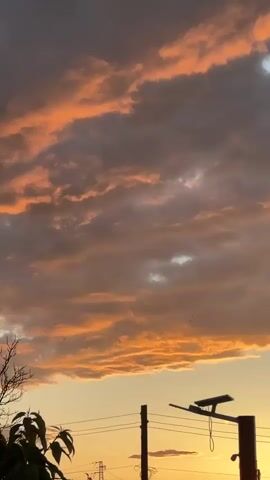 The video captures a serene sunset over a rural landscape in Pchelnik, Bulgaria. The sky is a canvas of dramatic clouds, painted with vibrant hues of orange, pink, and hints of purple as the sun descends. In the foreground, silhouetted against the bright horizon, are several power poles with power lines, a street lamp featuring a solar panel, and the rooftops of two buildings, one with distinctive terracotta tiles. Lush green foliage from trees and bushes frames the left and bottom of the shot. The clouds subtly shift and drift, and the sun's warm glow intensifies as it nears the horizon, creating a picturesque and tranquil evening scene. No people or visible text are present in the video.