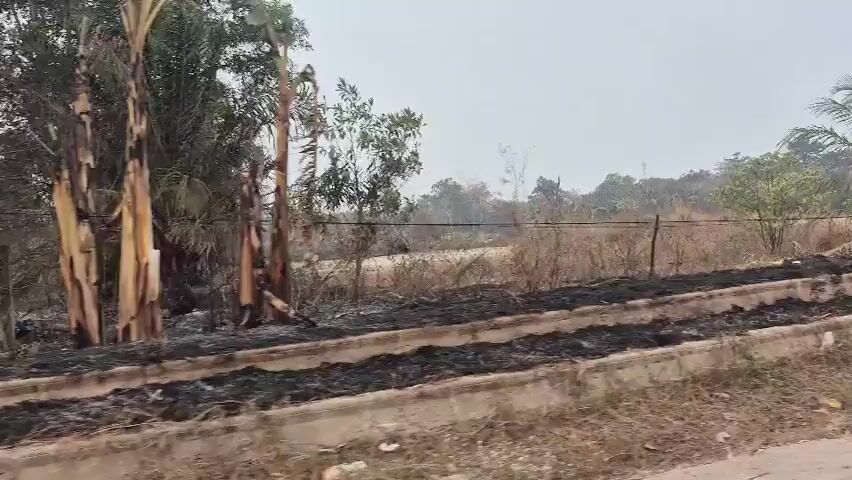 The video captures a view of a landscape with signs of recent fire damage. The ground in the foreground is charred and covered in ash, with remnants of burnt vegetation. Several concrete structures, possibly planter boxes or raised beds, are visible, also showing signs of fire. To the left, palm trees and other greenery stand, some appearing scorched. In the middle ground, dry brush and scattered trees are present, with some smoke or haze in the distance. A yellow sign with red lettering and a graphic is mounted on a pole. Further into the scene, more trees and vegetation are visible, with a general appearance of an area that has experienced a fire. The sky is overcast, contributing to a muted, slightly hazy atmosphere. The camera appears to be moving, likely from a vehicle, as the scene shifts slightly throughout the short clip.