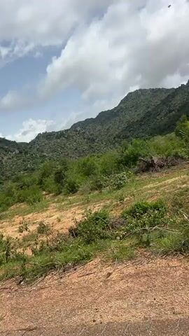 The media file depicts a scenic, undulating landscape with rolling hills covered in lush green vegetation and rocky outcrops. The foreground consists of a dirt path with sparse green plants and some reddish-brown soil. In the midground, the terrain slopes upwards, featuring a mix of green grass, bushes, and exposed sandy or earthy patches. The background is dominated by a range of mountains or large hills, densely vegetated with trees and shrubs, and marked by rocky formations. The sky above is a bright blue, punctuated by scattered white, fluffy clouds, suggesting a partly cloudy day.

The activity appears to be a slow pan or movement through this natural environment, possibly from a vehicle or while walking. There are no people or specific objects clearly visible, making it a focus on the natural scenery. The time of day seems to be daytime, likely late morning or early afternoon, given the brightness of the sky and the quality of light illuminating the landscape. The weather appears fair with a mix of sun and clouds. The location cues, such as the type of vegetation and the rocky terrain, are consistent with a tropical or subtropical hilly region. The overall mood evoked is one of tranquility and natural beauty. There is no visible text in the media file. The context provided, "Dorowa, Nigeria," places this natural scenery within that geographical location.