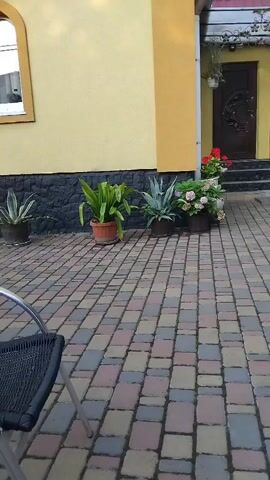 The video pans across a paved driveway with colorful interlocking stones. To the left, a yellow house with a dark stone foundation is visible. Several potted plants, including a large leafy plant in an orange pot, a spiky plant in a dark pot, and a hydrangea with pink and white blooms, are placed near the house. A dark metal chair with a woven seat is partially visible in the foreground on the left. The view then moves towards the entrance of the house, which features a dark door with decorative metalwork and a small set of stairs leading up to it. An awning with curved supports covers the entrance. A fence and trees are visible to the right of the house. The lighting suggests it is daytime, possibly late afternoon or early evening, as the light appears somewhat diffused.