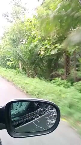 The video shows a view from inside a moving vehicle, looking out the side window and into the side mirror. The side mirror is cracked. Outside the vehicle, there is a road on the left and lush green vegetation on the right, with trees and foliage. The sky appears overcast. The camera is moving, indicated by the blur of the scenery.