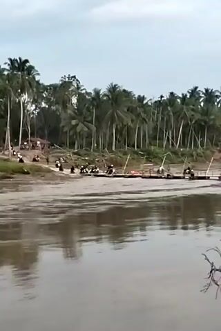 The video shows a wide river with a pontoon bridge across it. Palm trees line the riverbank on the far side. People and motorcycles are on the bridge. The river is calm and reflects the sky. A dead branch is visible in the foreground. The sky is overcast.